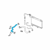 OEM Honda Fit Hose, Water (Upper) Diagram - 19501-RME-A00