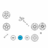 OEM Kia Sorento Wheel Hub Cap Assembly Diagram - 529603E200