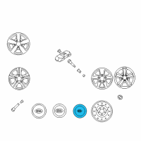 OEM Kia Sorento Wheel Hub Cap Assembly Diagram - 529603E101