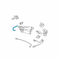 OEM Pontiac Hose, Evap Emission Canister Drain Diagram - 88971560