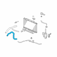 OEM 2013 Honda Crosstour Hose, Water (Lower) Diagram - 19502-R53-A00