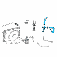 OEM 2008 Ford Mustang Lower Hose Diagram - 7R3Z-8286-C