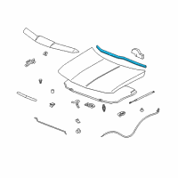 OEM 2008 Pontiac Torrent Weatherstrip Asm-Hood Rear Diagram - 21990798