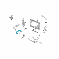 OEM Acura TSX Hose, Water (Lower) Diagram - 19506-RL5-A01