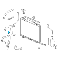 OEM Acura MDX Clamp, Water Hose (Black) Diagram - 19519-RGL-A00