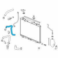 OEM Acura MDX Hose, Water (Lower) Diagram - 19502-5WS-A00