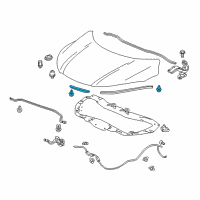 OEM Honda HR-V Seal Rub L, Hood C Diagram - 74128-T7J-H00