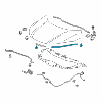 OEM 2018 Honda HR-V Seal Rub L, Hood Diagram - 74192-T7J-H00