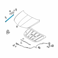 OEM 2017 Hyundai Azera Lifter-Hood, LH Diagram - 81161-3V001