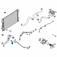 OEM 2018 Ford Police Interceptor Utility Outlet Hose Diagram - DB5Z-8N029-C