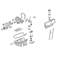 OEM 2009 Chevrolet Colorado Oil Filter Connector Diagram - 24575062