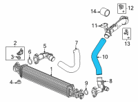 OEM Honda Civic HOSE Diagram - 17292-64A-A01