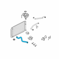 OEM 2009 Ford Escape Upper Hose Diagram - 8L8Z-8260-B