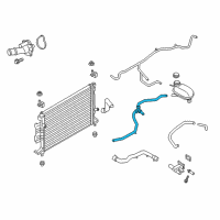 OEM 2019 Ford Escape Reservoir Hose Diagram - GV6Z-8075-G