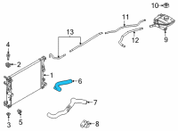 OEM 2022 Nissan Sentra Hose-Radiator, Lower Diagram - 21503-6LB0A