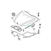 OEM BMW 525i Gas Pressurized Spring, Hood Diagram - 51-23-7-008-745