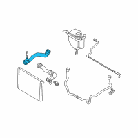 OEM 2009 BMW 528i xDrive Lower Radiator Hose Diagram - 17-12-7-565-780