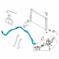 OEM 2010 Chevrolet Aveo5 Reservoir Hose Diagram - 95990102