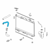 OEM Honda Pilot Hose, Water (Lower) (B) Diagram - 19504-5J2-A50