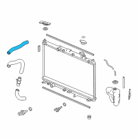 OEM 2016 Acura TLX Hose, Water Upper Diagram - 19501-5J2-A00