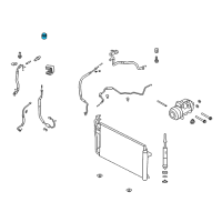 OEM Ford Crown Victoria AC Tube Cap Diagram - F7RZ-19D702-AA