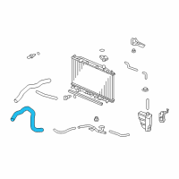 OEM 2009 Honda Accord Hose, Water (Lower) Diagram - 19502-R72-A00