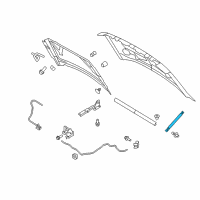 OEM Ford F-150 Lift Cylinder Diagram - 9L3Z-16C826-A