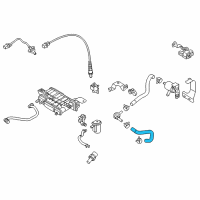OEM Hyundai Hose Assembly-PCV Diagram - 29021-03310