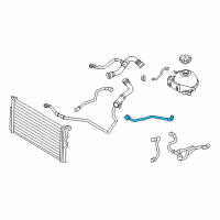 OEM 2016 BMW 428i Gran Coupe Engine Coolant Overflow Hose Diagram - 17-12-7-624-676