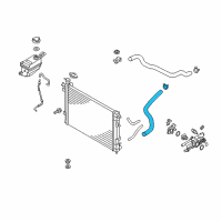 OEM 2011 Kia Sorento Hose-Radiator Lower Diagram - 254122P500