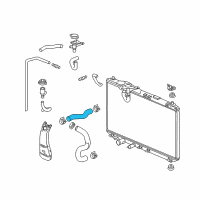 OEM 2019 Acura ILX Hose, Water (Upper) Diagram - 19501-R4H-A00