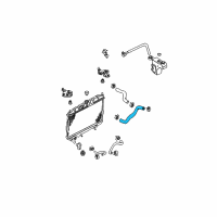 OEM 2003 Nissan Sentra Hose-Lower Diagram - 21503-6Z500