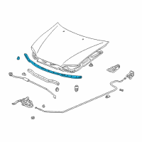 OEM 2004 Honda Odyssey Rubber, FR. Hood Seal Diagram - 74149-S0X-A01