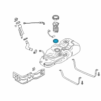 OEM 2015 Chevrolet City Express Fuel Pump Assembly Seal Diagram - 19316265