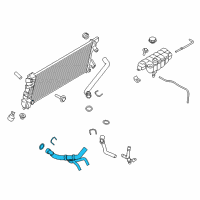 OEM 2015 Ford F-150 Lower Hose Diagram - FL3Z-8286-C