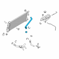 OEM 2016 Ford F-150 Upper Hose Diagram - FL3Z-8260-C