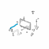 OEM 2008 Acura TL Hose, Water (Upper) Diagram - 19501-RDA-A10