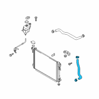 OEM 2015 Kia Sedona Hose Assembly-Radaator, Lower Diagram - 25415A9000