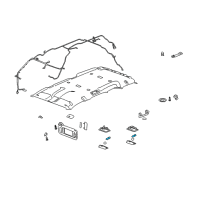 OEM 2008 Cadillac Escalade Bulb, Courtesy Lamp Diagram - 19116011