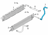 OEM 2022 Ford Maverick HOSE ASY Diagram - LX6Z-8260-HCD