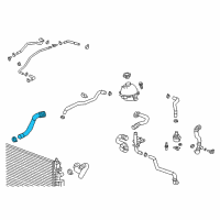 OEM 2018 GMC Terrain Lower Hose Diagram - 84129277