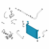 OEM Hyundai Sonata Radiator Assembly Diagram - 25310-C2100