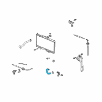 OEM 2009 Honda Element Hose, Water (Lower) Diagram - 19505-PZD-A10