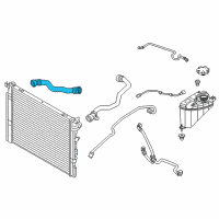 OEM 2017 BMW 740e xDrive Lower Radiator Coolant Hose Diagram - 17-12-8-602-603