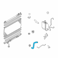 OEM 2004 Nissan 350Z Hose-Radiator, Lower Diagram - 21503-CD000