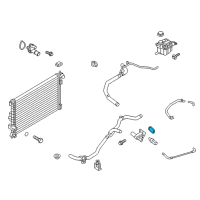 OEM 2018 Ford EcoSport Adapter Gasket Diagram - CJ5Z-8255-A