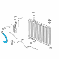 OEM Acura ILX Hose, Water (Lower) Diagram - 19504-R9A-A51