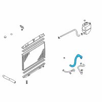 OEM 1998 Nissan Maxima Hose-Radiator, Lower Diagram - 21503-31U10