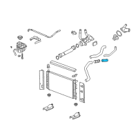 OEM 2007 Chevrolet Malibu Radiator Outlet Hose (Lower) Diagram - 15891947