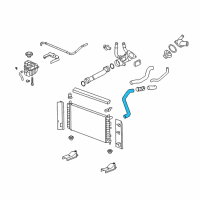 OEM 2008 Pontiac G6 Radiator Outlet Hose (Lower) Diagram - 25807086